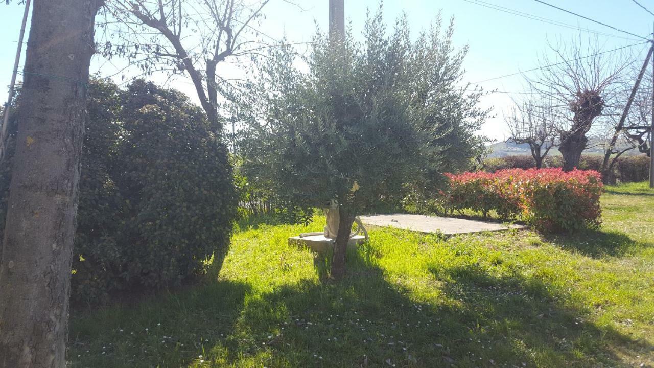 Casa Selene Rocchi Villa Savignano sul Panaro Bagian luar foto